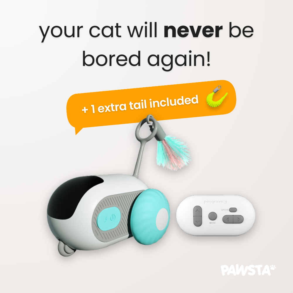 KittyKart™ Automatic Cat Toy