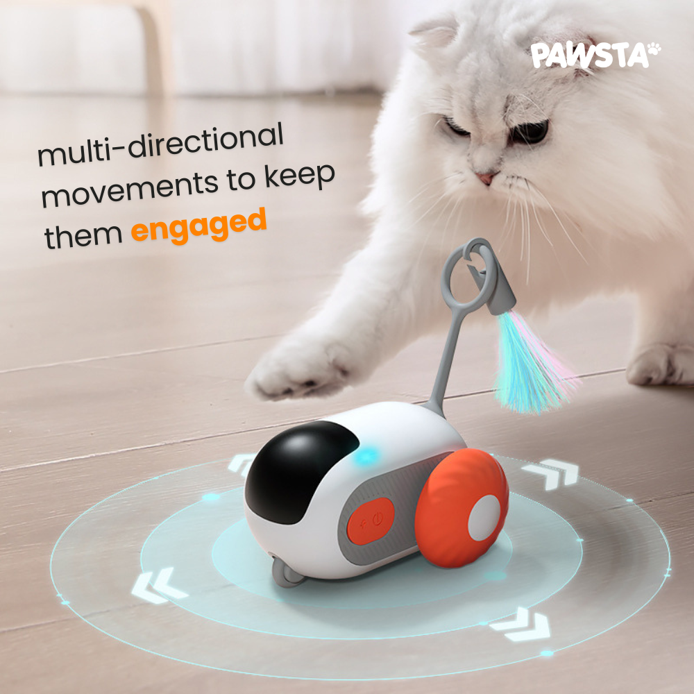 KittyKart™ Automatic Cat Toy