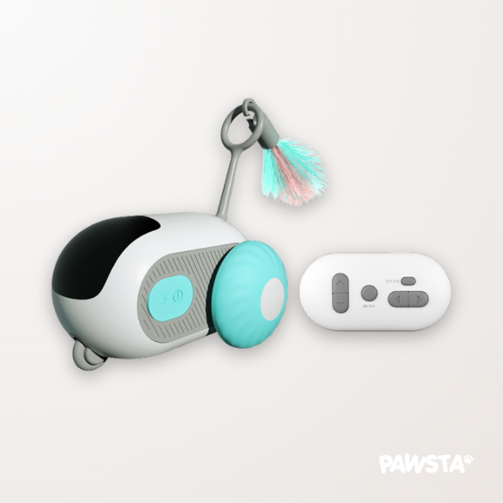 KittyKart™ Automatic Cat Toy